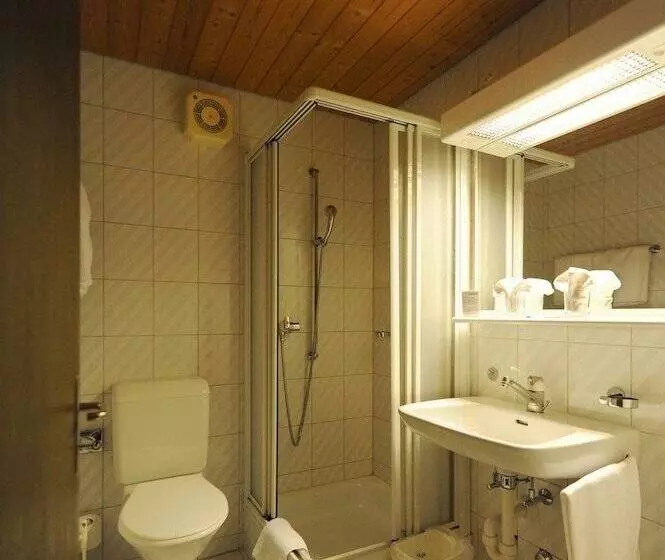 Habitació Economy, Alpha Thun