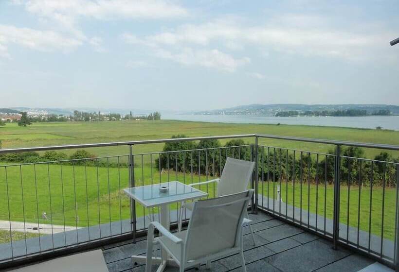 スタンダードルーム, Seedamm Plaza