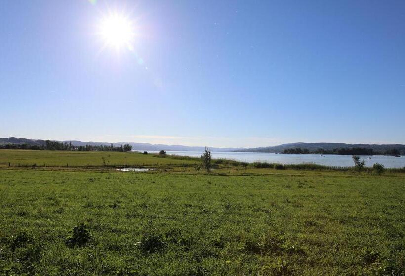 ペントハウススイート, Seedamm Plaza