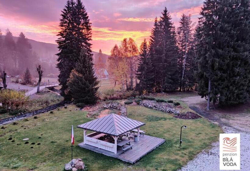 Номер Стандарт, Penzion Bílá Voda