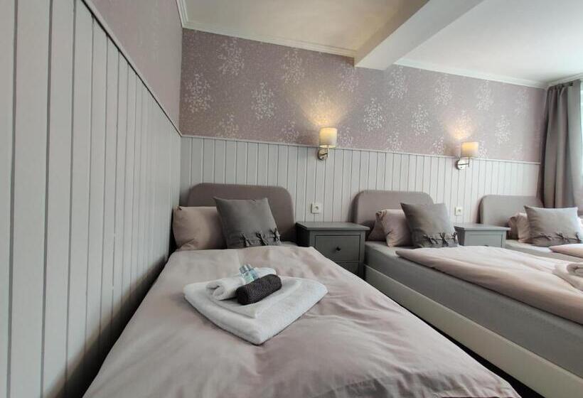 Номер Стандарт Трехместный, Penzion Bílá Voda