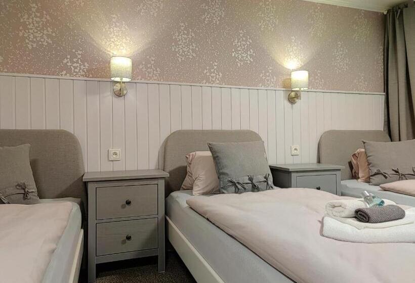 Номер Стандарт Трехместный, Penzion Bílá Voda