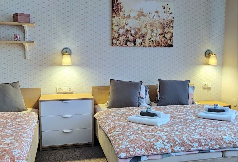 Номер Стандарт Трехместный, Penzion Bílá Voda