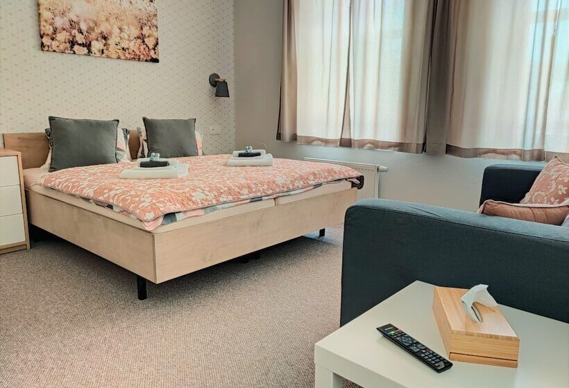 Номер Стандарт Трехместный, Penzion Bílá Voda