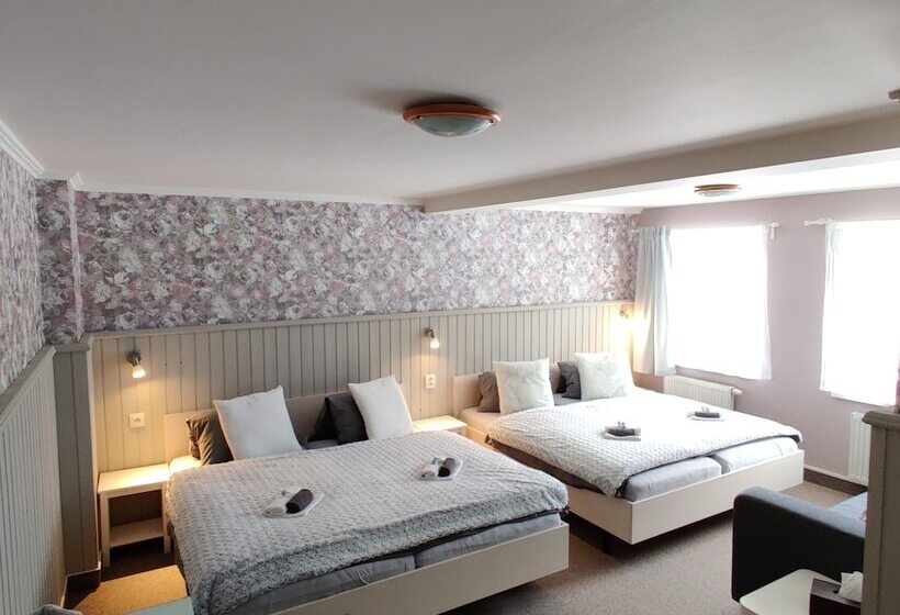 Семейный Номер, Penzion Bílá Voda