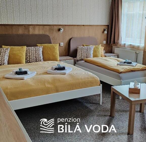 Четырехместный Номер Стандарт, Penzion Bílá Voda