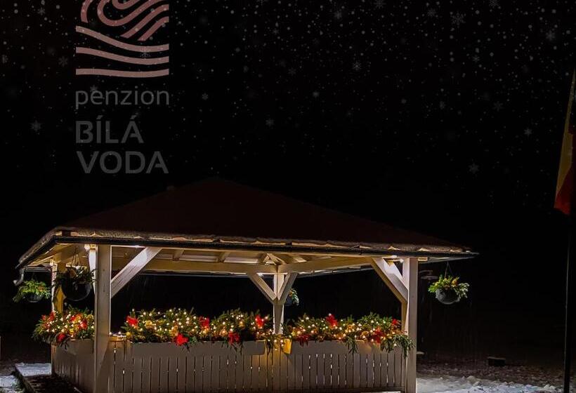 Четырехместный Номер Стандарт, Penzion Bílá Voda