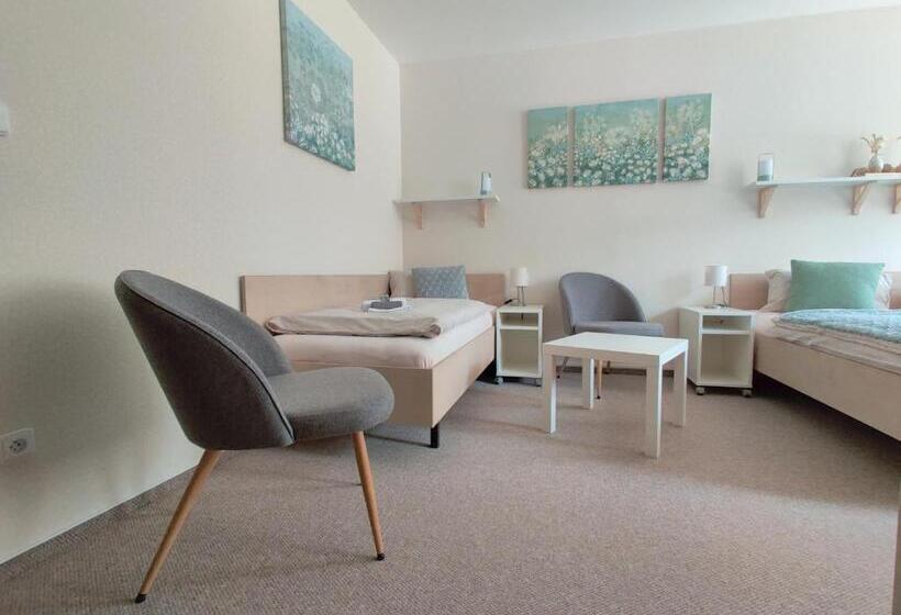 Номер Стандарт Трехместный, Penzion Bílá Voda