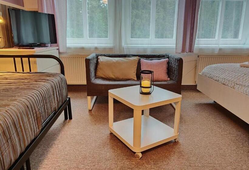 Семейный Номер, Penzion Bílá Voda