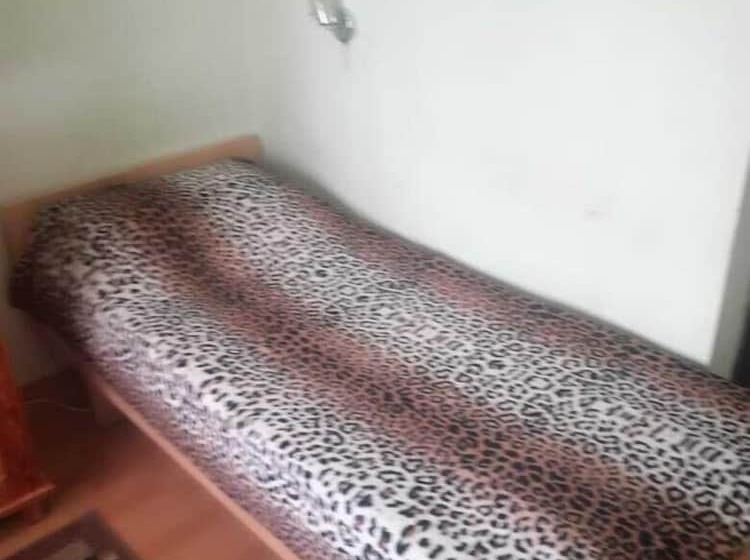 수피리어 룸, Tennis Academy