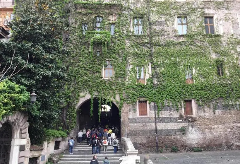 اتاق استاندارد, Duca Di Cavour