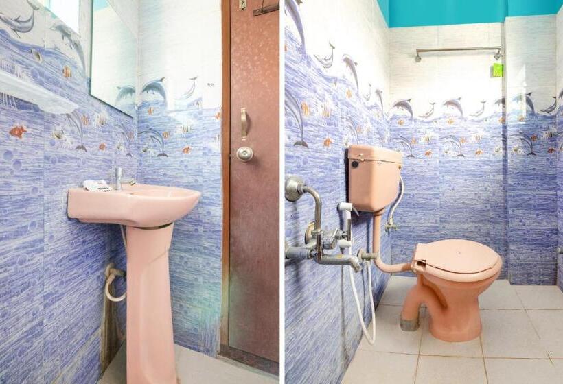 Cameră Triplă Clasică, O Ssv