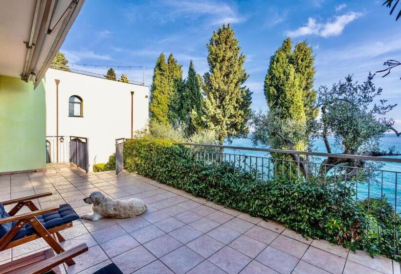 Teraslı Standart Stüdyo, Baba Residences