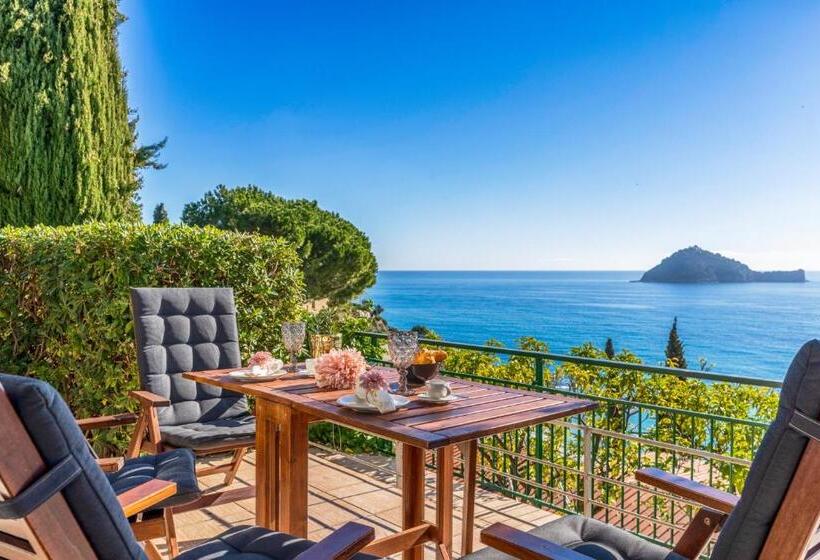 Teraslı 1 Yatak Odalı Daire, Baba Residences