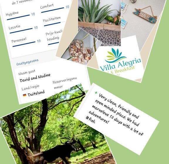 اتاق لوکس, B&b Villa Alegria, Tarrafal