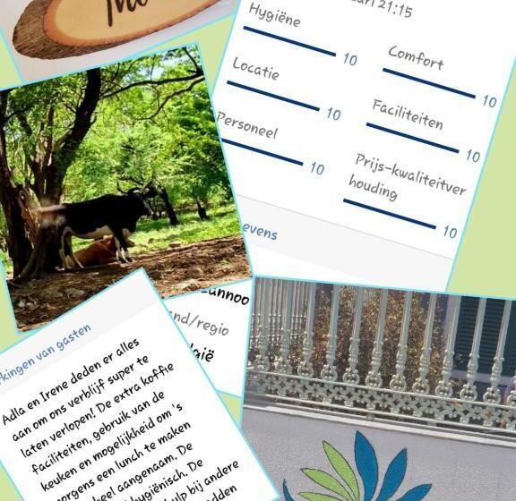 اتاق لوکس, B&b Villa Alegria, Tarrafal