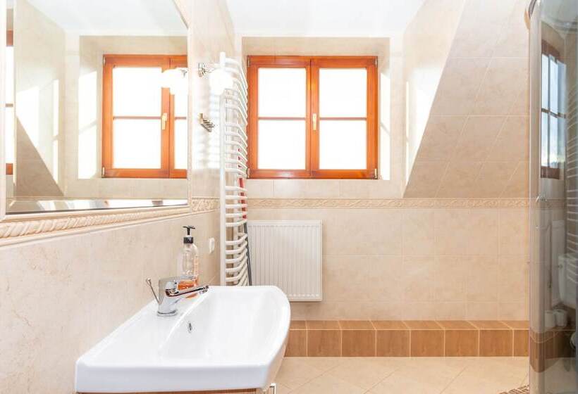 شقة سوبريور غرفة واحدة, Gościniec Pięciu Stawów