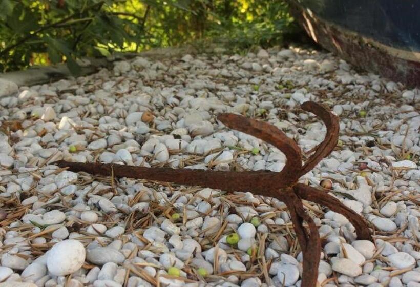 オーシャンビューバルコニー付スタンダードワンルーム, Villa Ro Ela