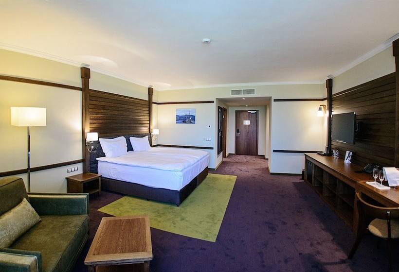 Номер Executive, Hot Springs Medical And Spa