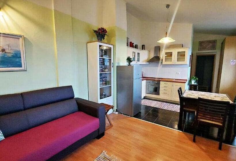 带1个卧室的豪华公寓, Apartments And Rooms Vila Irma