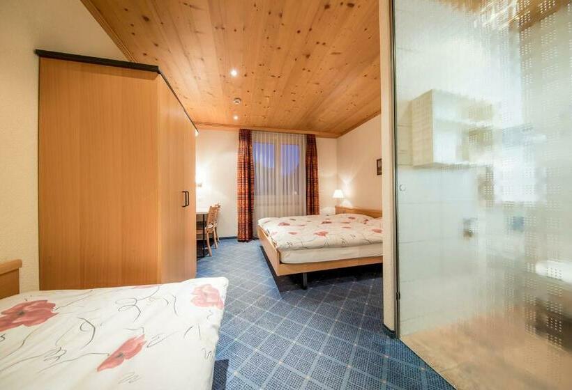 Номер Стандарт Трехместный, Alpbach