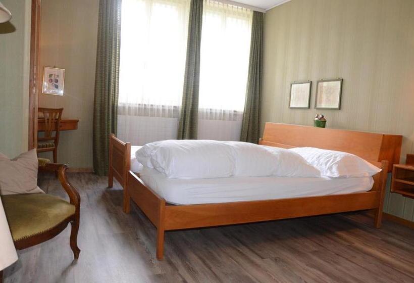 Standardzimmer, Gasthof Lowen Worb Bei Bern