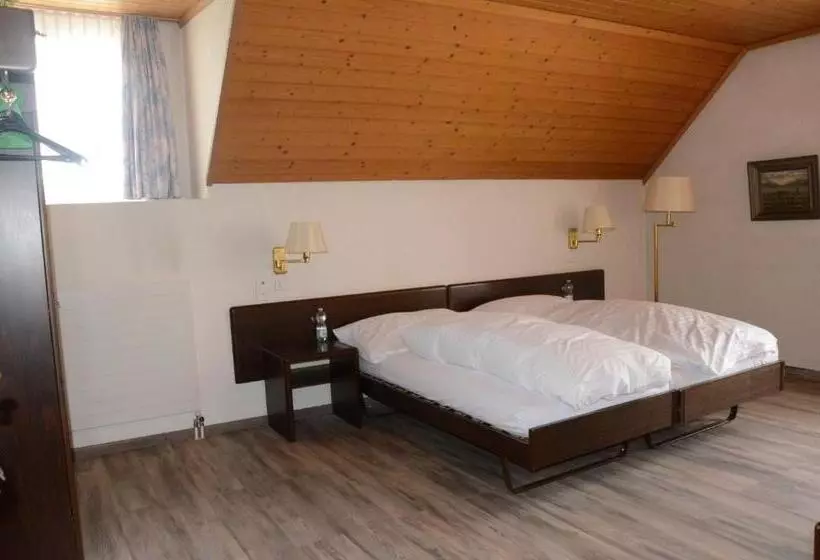 スタンダードルーム, Gasthof Lowen Worb Bei Bern