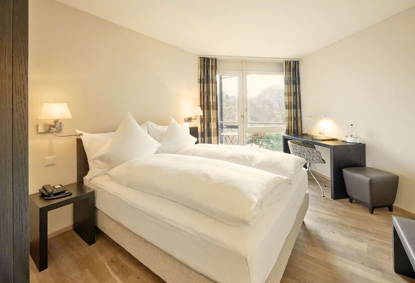 Номер Стандарт, Seepark Thun