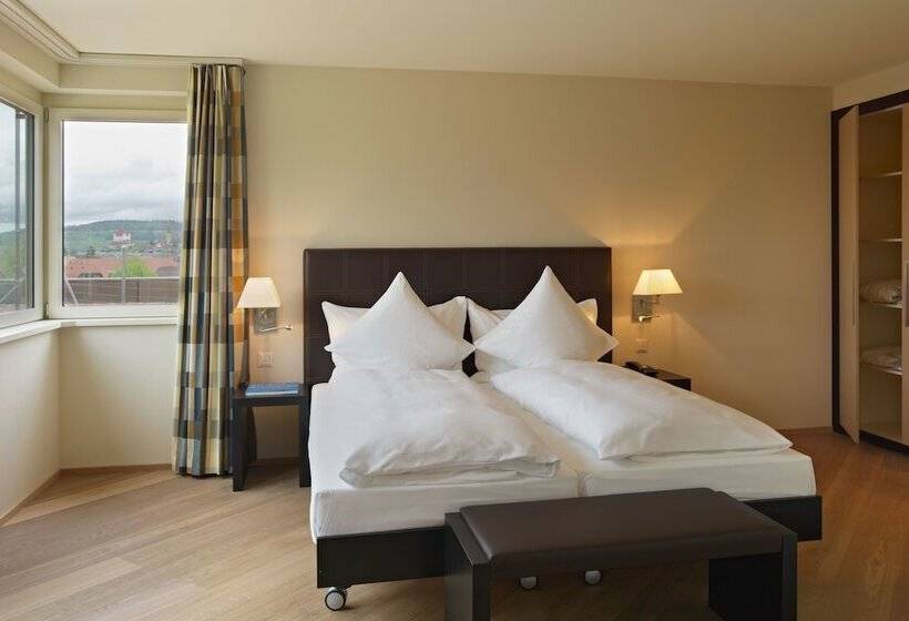 标准间, Seepark Thun