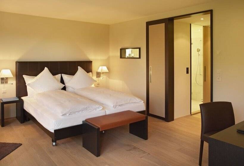 Номер Superior, Seepark Thun