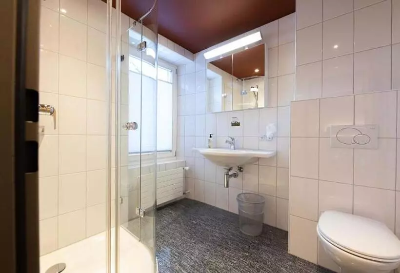 اتاق استاندارد, Sporthotel Pontresina