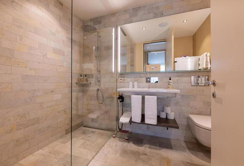 Апартаменты 1 Спальня, Sporthotel Pontresina