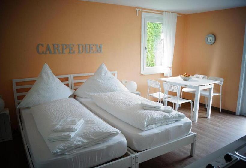 شقة غرفة واحدة مزودة بتراس, Black Forest Lodge