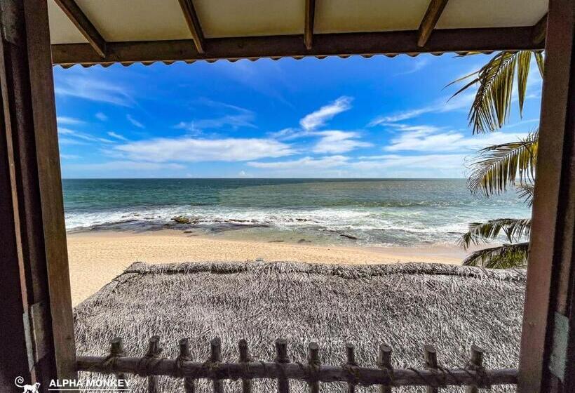 اتاق استاندارد, Aloha Beach Resort