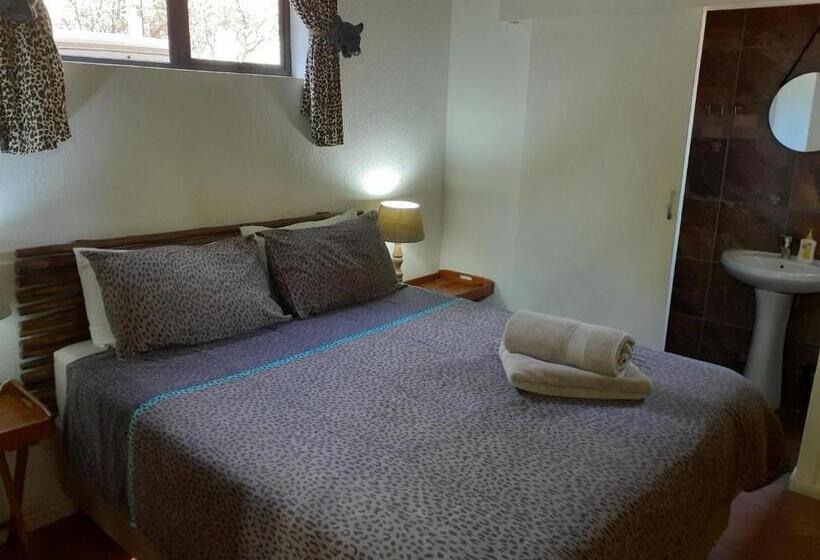 Standardzimmer, Homebase Kruger