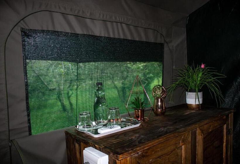 Standard Zelt, Homebase Kruger