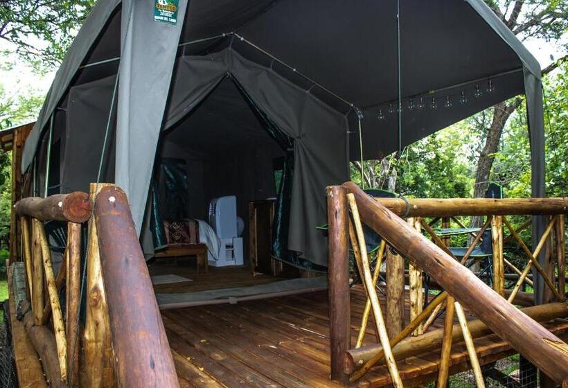 Standard Zelt, Homebase Kruger