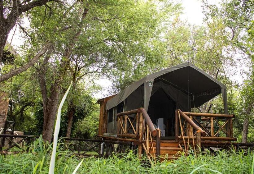 Standard Zelt, Homebase Kruger