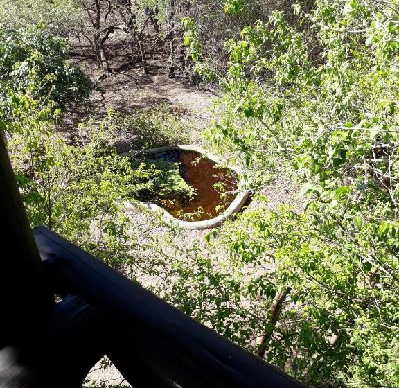 Familienzimmer, Homebase Kruger