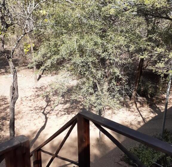 Standard Studio, Homebase Kruger