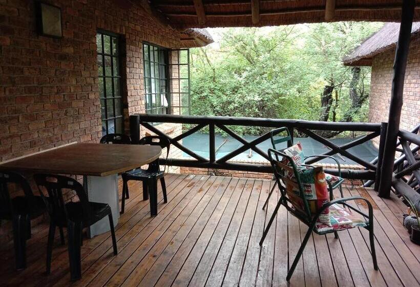 Standard Studio, Homebase Kruger