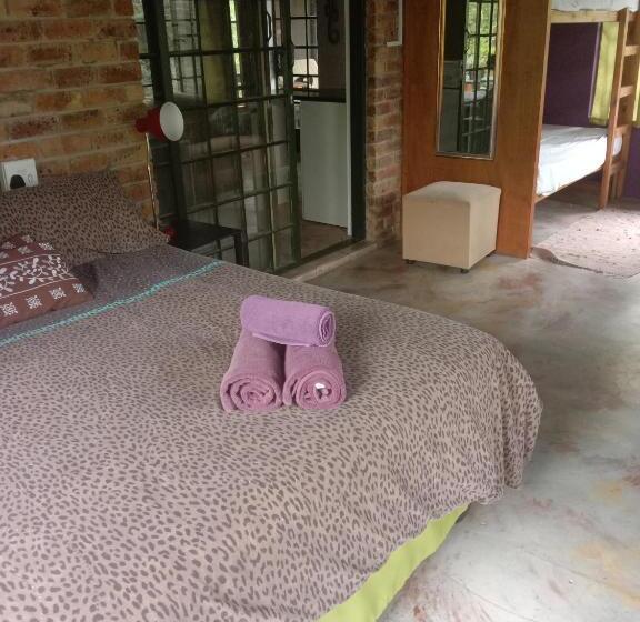 Standard Studio, Homebase Kruger