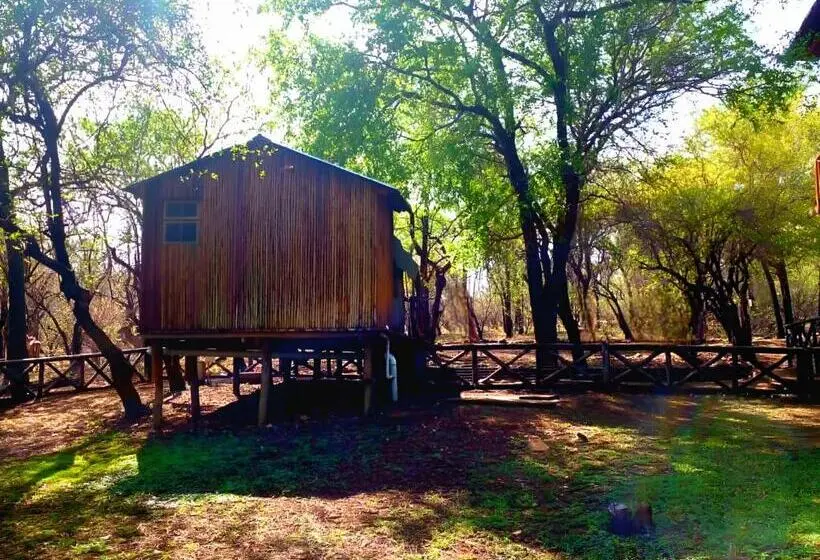 Standard Tent, Homebase Kruger