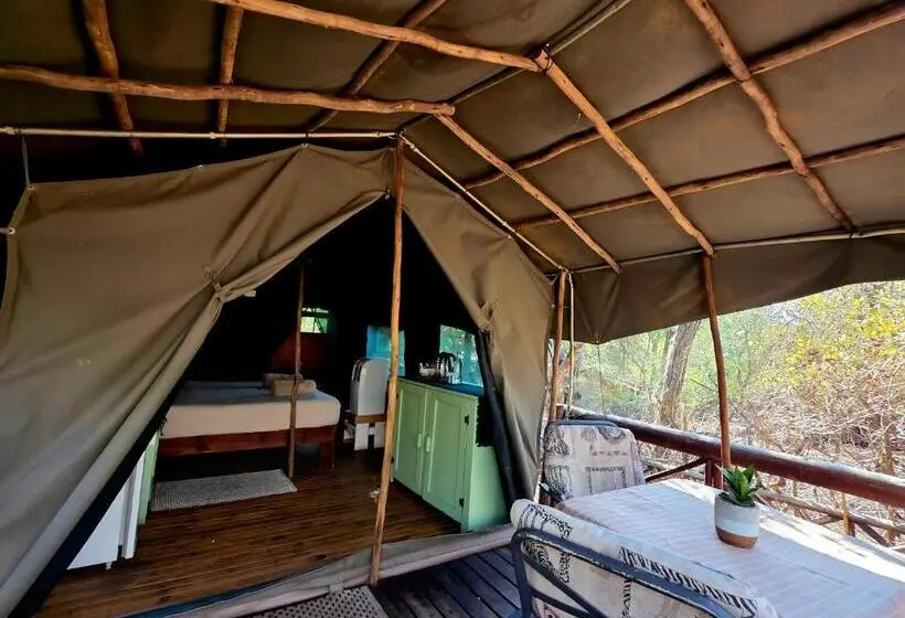 Standard Tent, Homebase Kruger