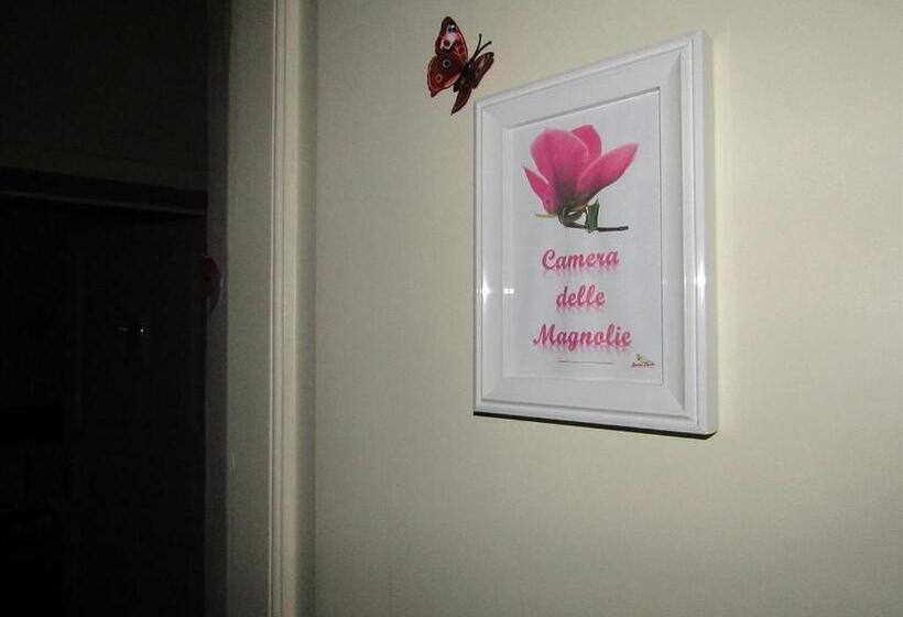 Quarto Estandar, Bed & Breakfast Stradanuova