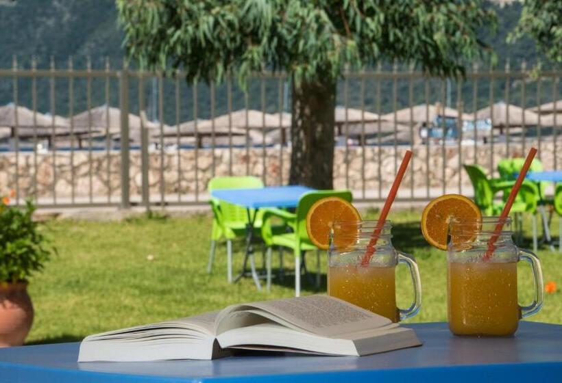 스탠다드 스튜디오, Akroyiali Resort