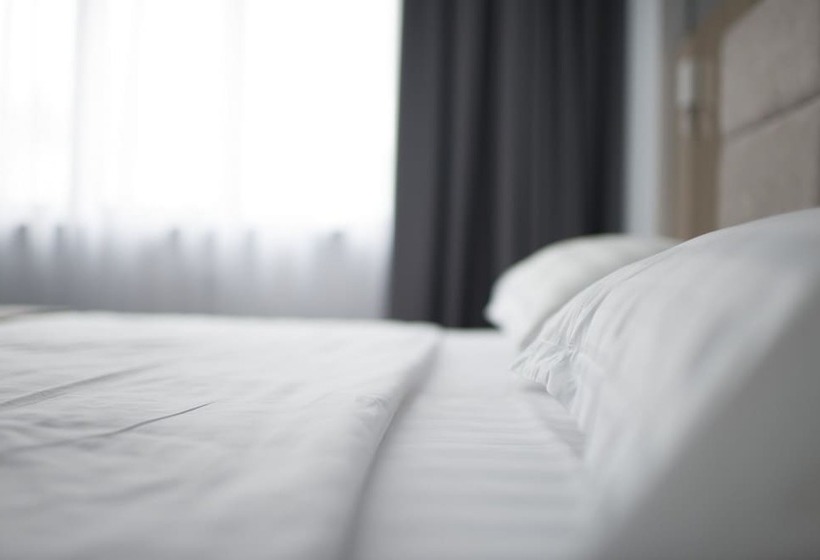 １ベッドルームアパートメント, Capital