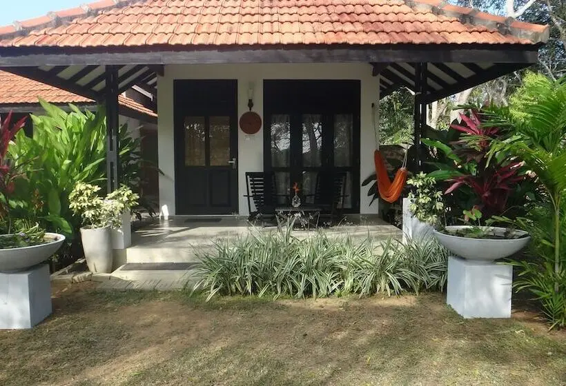 デラックスルーム, Eco Cabanas Marakolliya