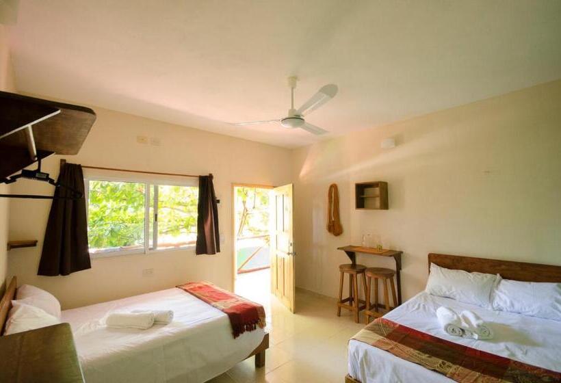 标准间, Casa Almendro