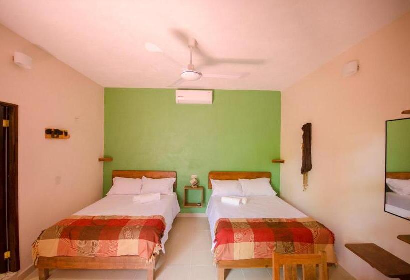 标准间, Casa Almendro